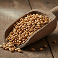 Floor-Malted Heritage Barley, 1kg